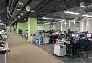 湘西有哪些猫粮零食营养品新报价