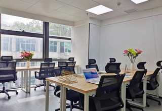 湖北国产彩壳货源充足