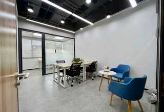 公司植物出租厂家