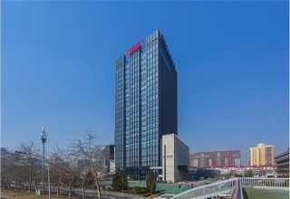 山东自动排焊网机