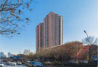 烟台软木聚氨酯胶水多少钱一公斤