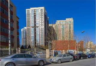 南安黑金沙加工