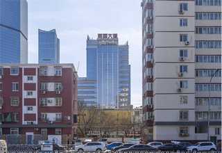 南明区建筑小黑模板供应商家