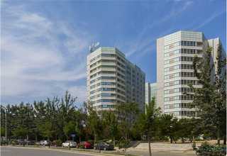 活性炭NORIT SORBONORIT KB3